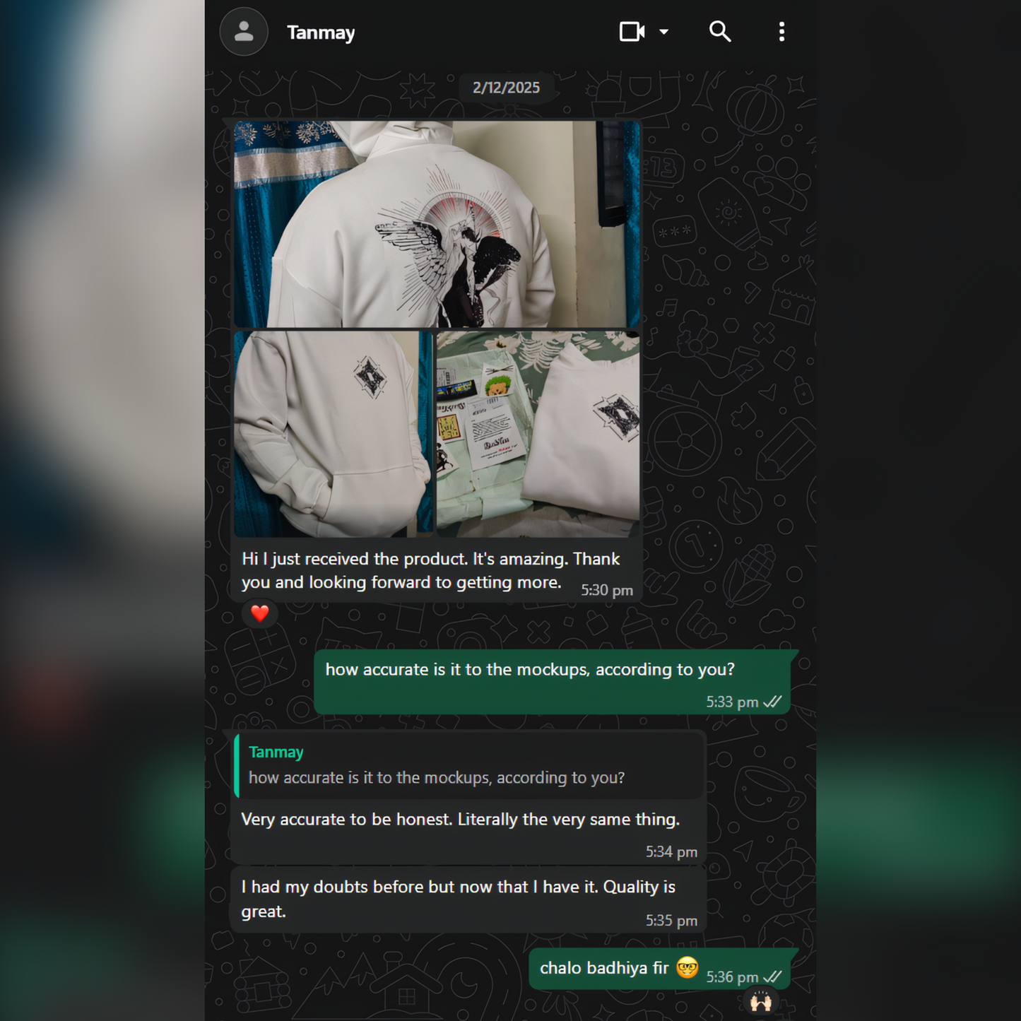 Omniscient Reader’s Viewpoint – Fallen Grace Oversized Hoodie